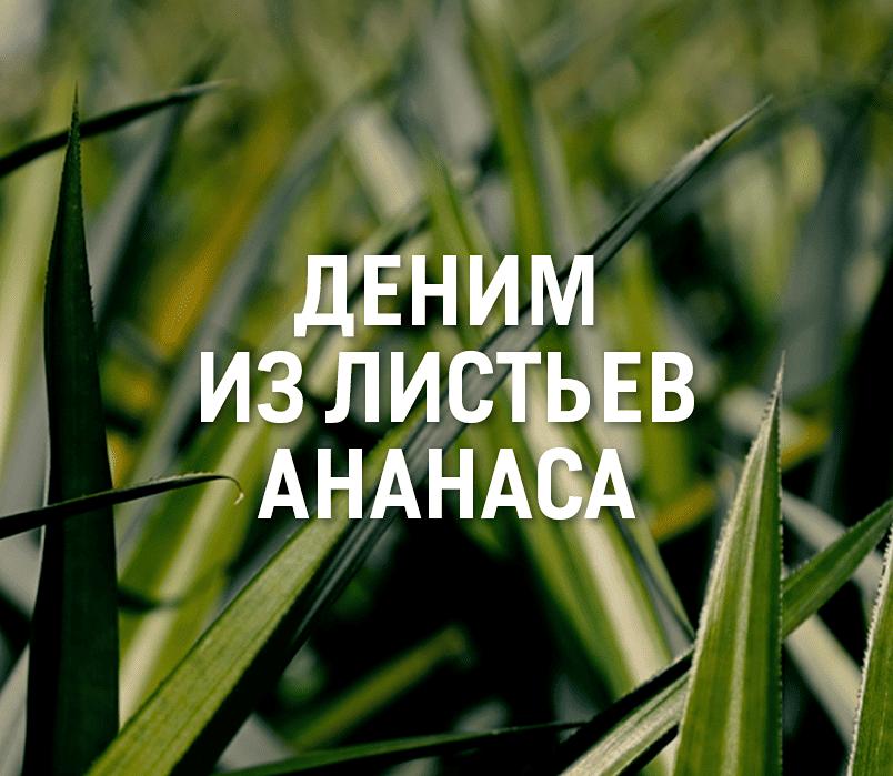 Волокно из листьев ананаса