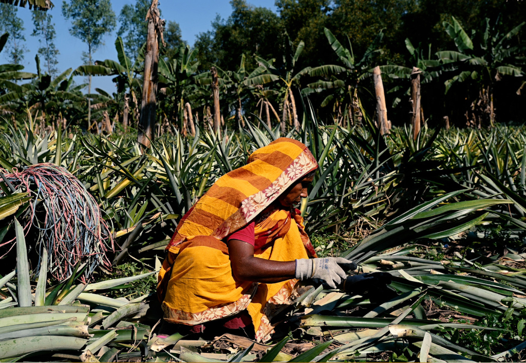 Из отходов в ресурс