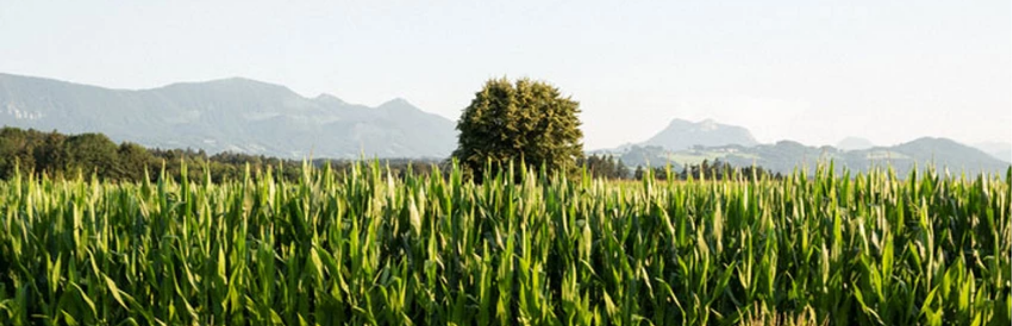 Marc O’Polo на пути к экологичности