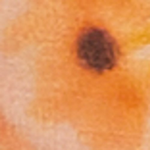 981bd63d-6156-11f0-9012-00505602b630