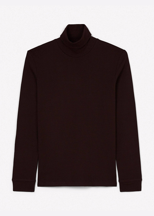 Темно-сливовый